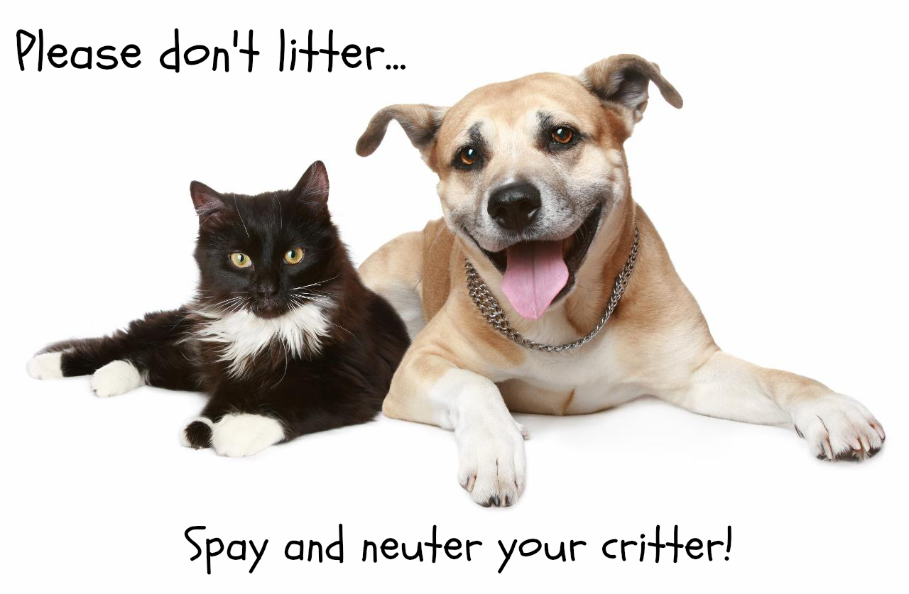 what happens if you dont neuter your dog